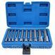 Набір довгих біт (1/4" 3/8" 1/2") SPLINE M4-M18 10 ел. Vorfal V08064 V08064 фото 1