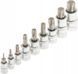 Набір головок TORX + біти в голівці TORX / E-TORX /TORX PLUS (1/4 / 3/8 "/ 1/2") 60 од. Vorfal V08065 V08065 фото 2